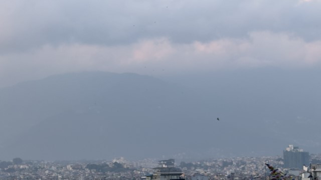 IMG 6300