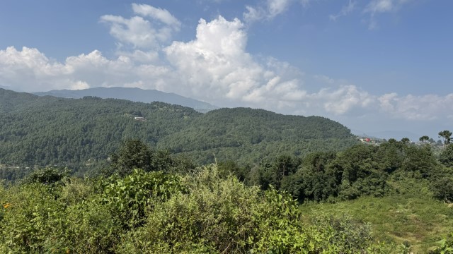 IMG 5296