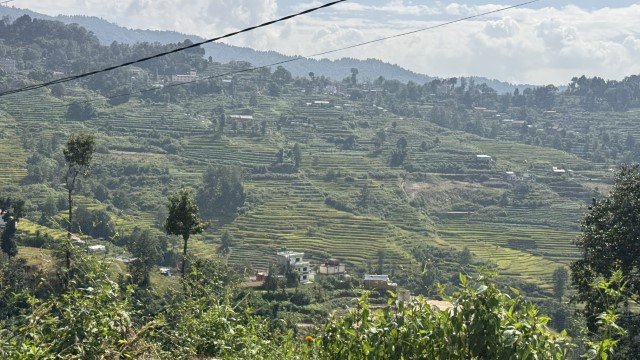 IMG 5300