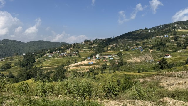 IMG 5313
