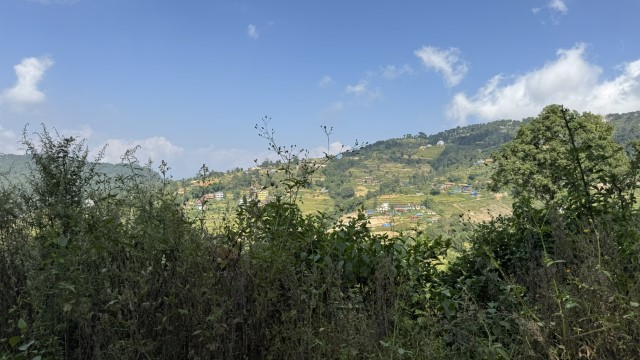 IMG 5317
