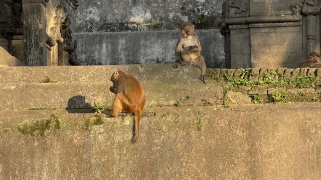 IMG 5502