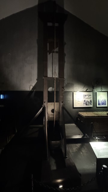 IMG 7090