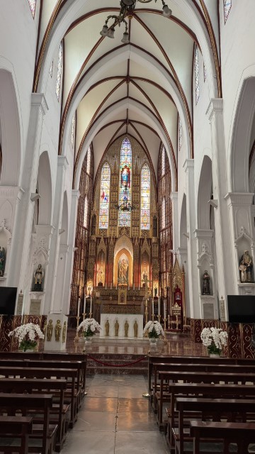 IMG 7719