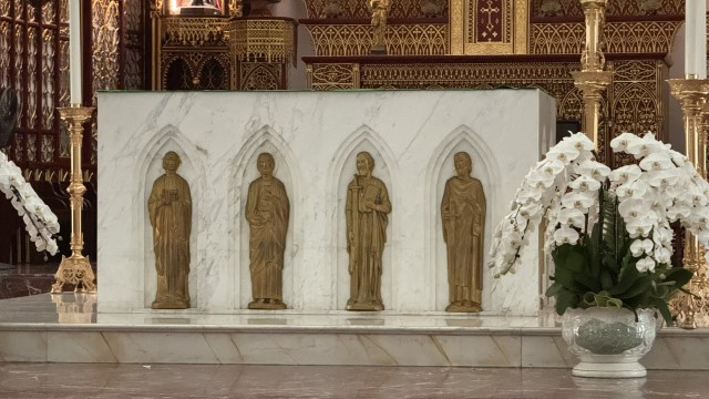 IMG 7724