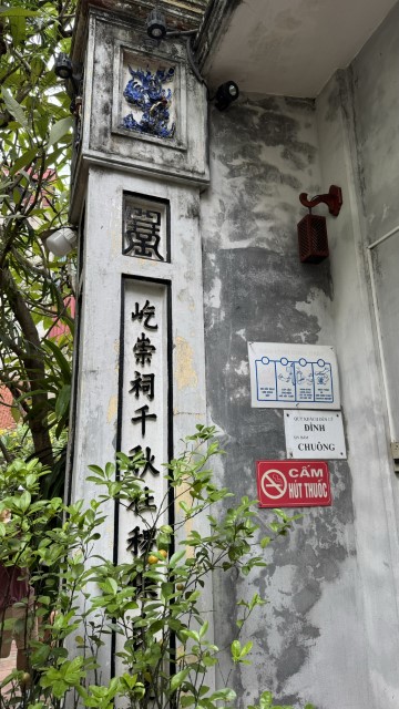 IMG 7764