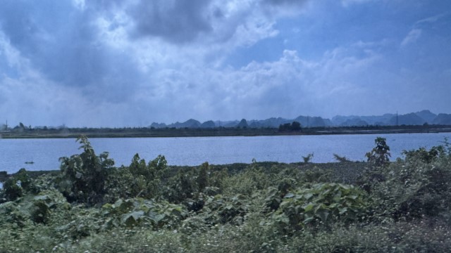 IMG 7217