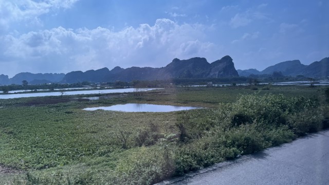 IMG 7219