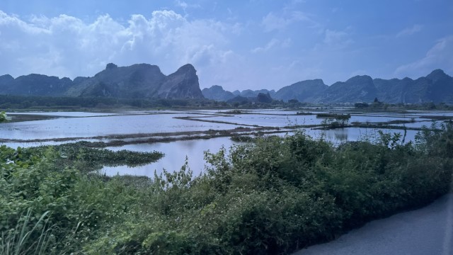 IMG 7223