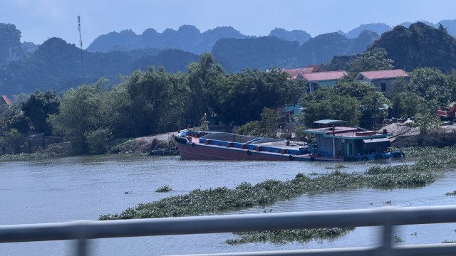 IMG 7229