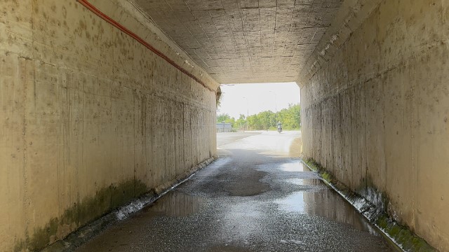 IMG 7245