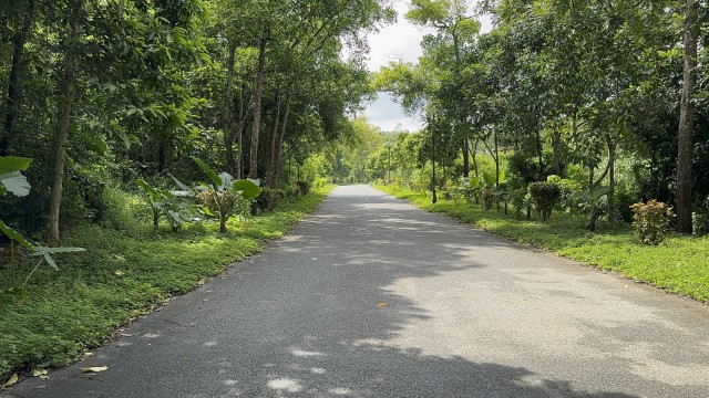 IMG 7250