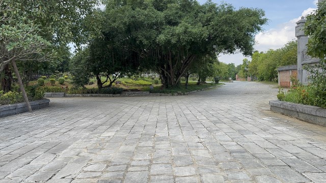 IMG 7259