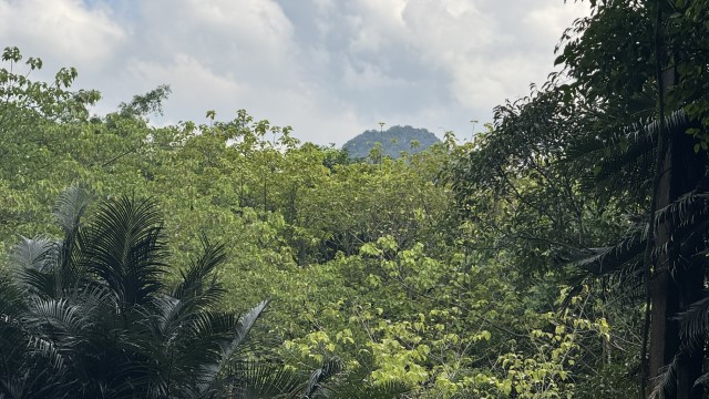 IMG 7316