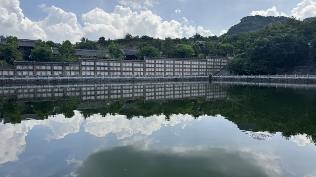 IMG 7353