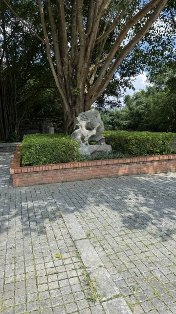 IMG 7392