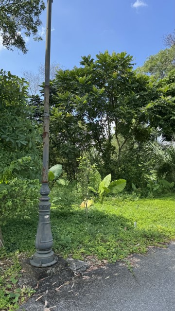 IMG 7402