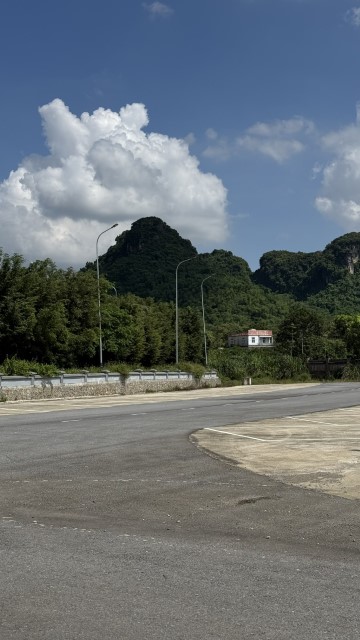 IMG 7413