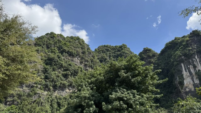 IMG 7415