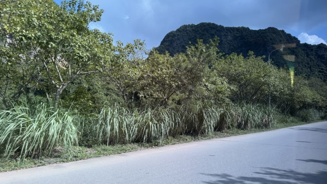 IMG 7417