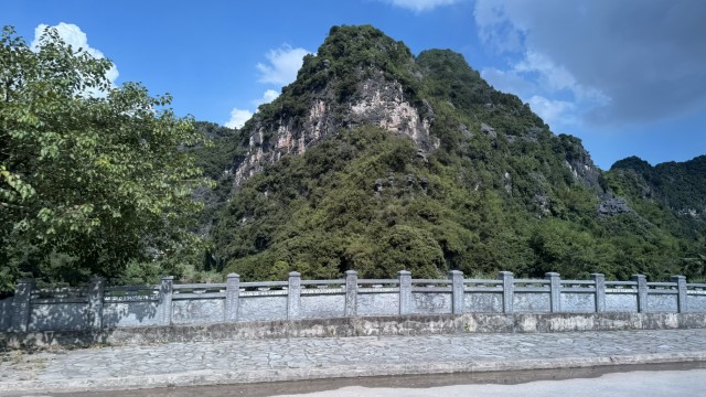 IMG 7418