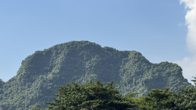 IMG 7448