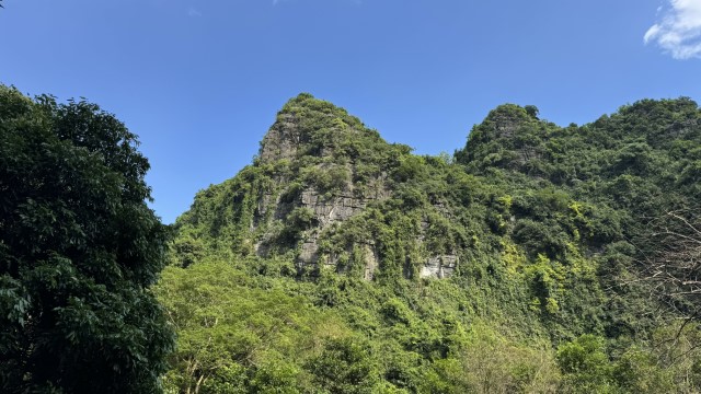 IMG 7561