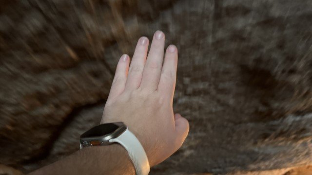 IMG 7564