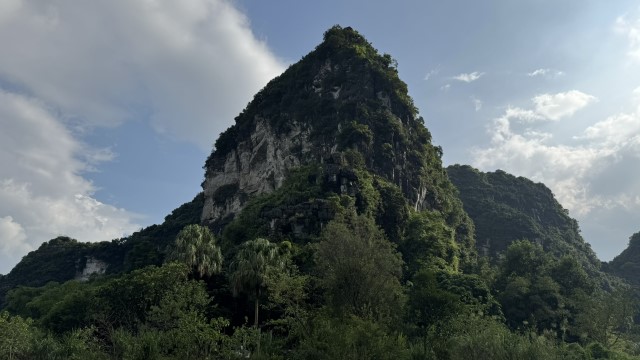 IMG 7595