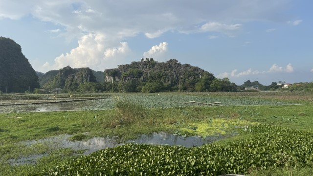 IMG 7607