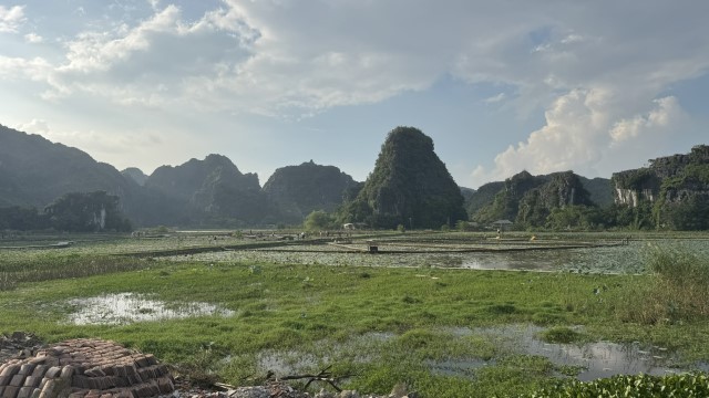 IMG 7608