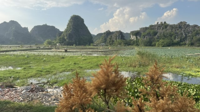 IMG 7610