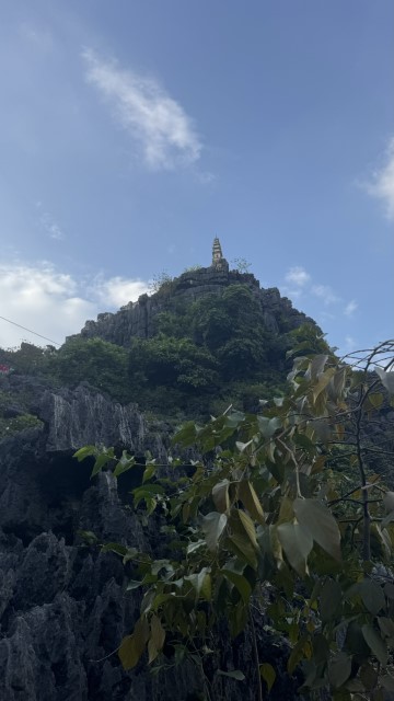 IMG 7629