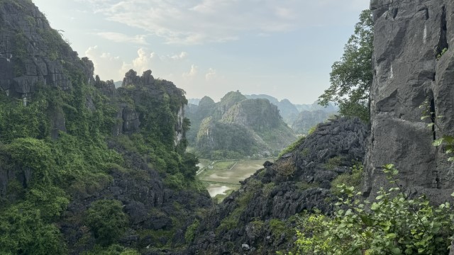 IMG 7634