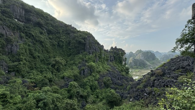 IMG 7636