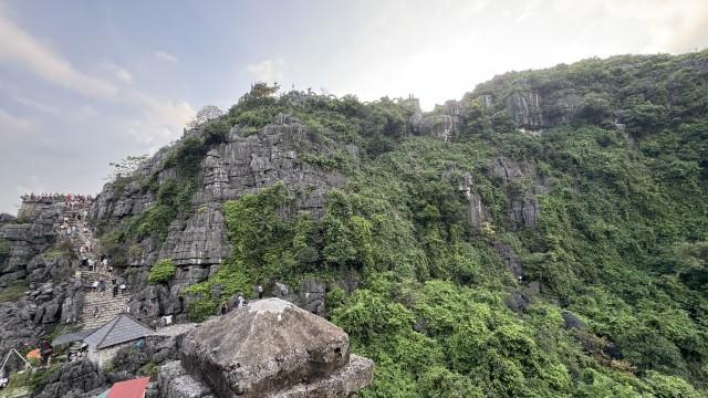 IMG 7637
