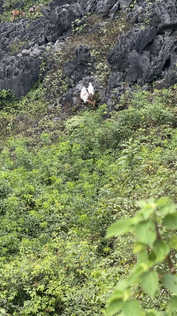 IMG 7639