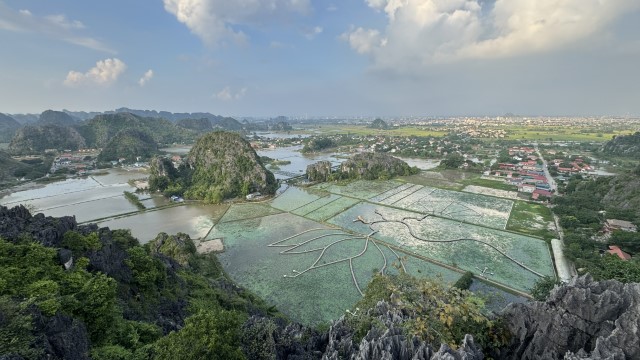 IMG 7660