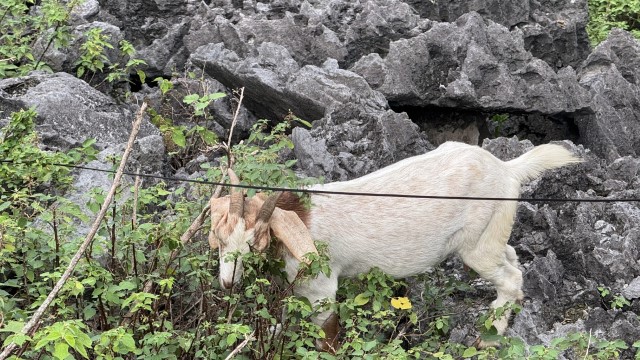IMG 7678