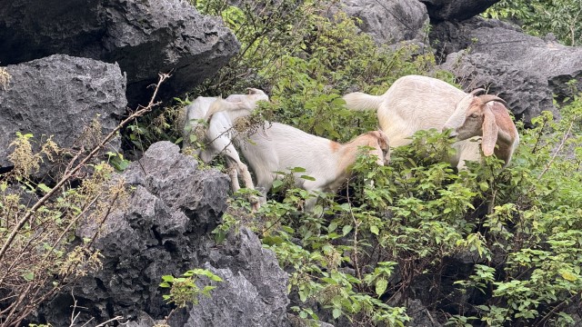 IMG 7682
