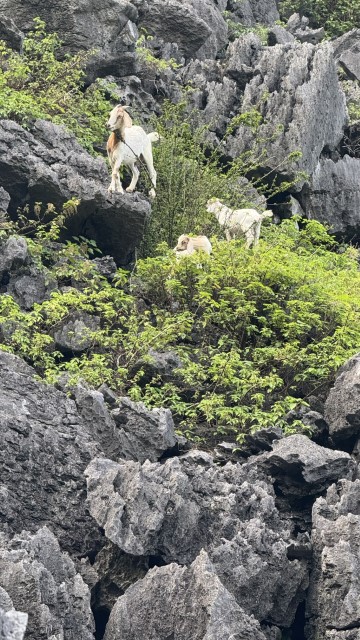 IMG 7683