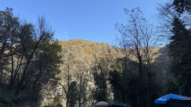IMG 9075