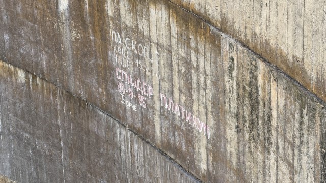 IMG 9086
