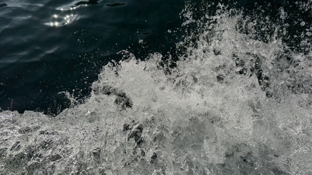 IMG 9131