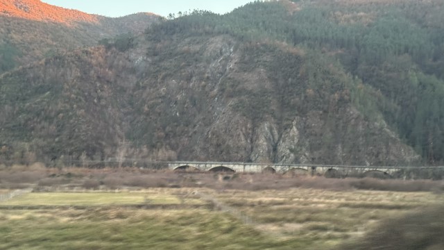 IMG 8570