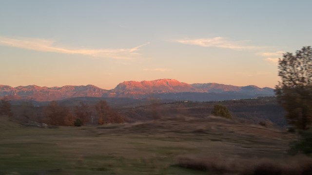 IMG 8576