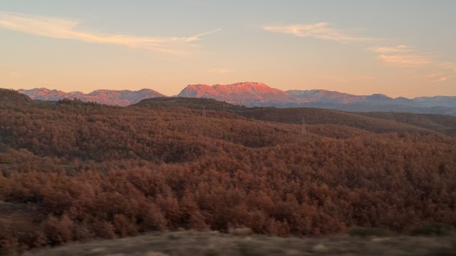 IMG 8583