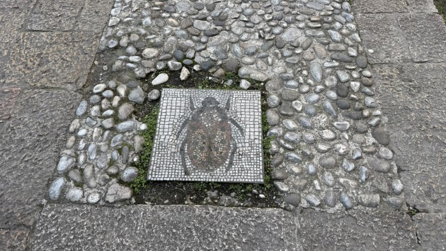 IMG 8709