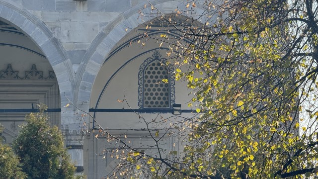 IMG 8740
