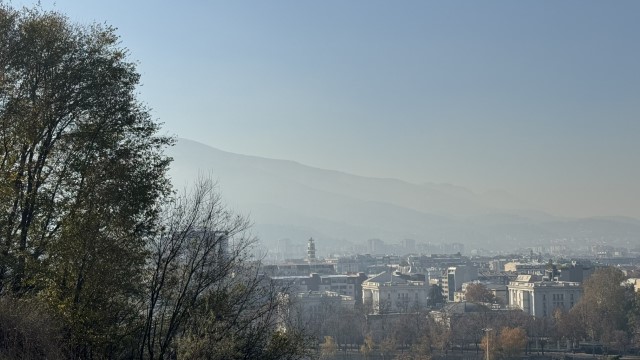 IMG 8750